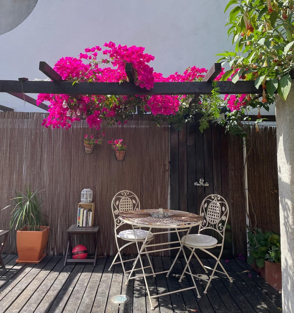 Lisbon Secret Garden 3 Sun Loungers Apartment in Lisbon