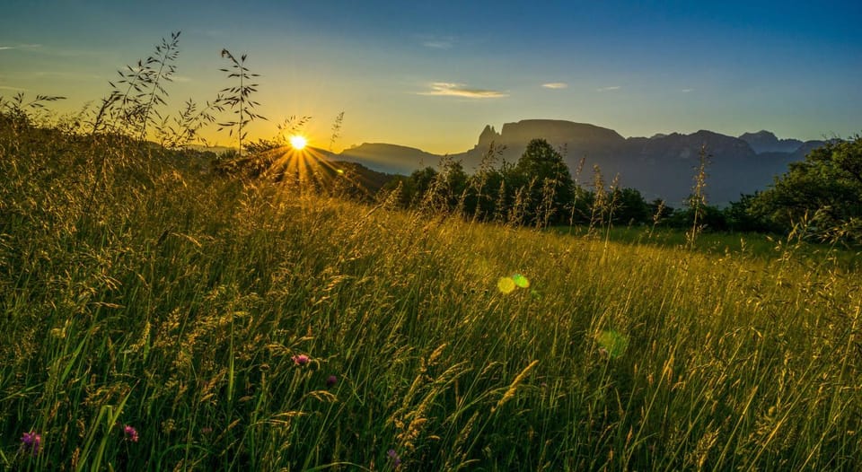 Appartments Neuhof Farm Stay in Trentino-South Tyrol