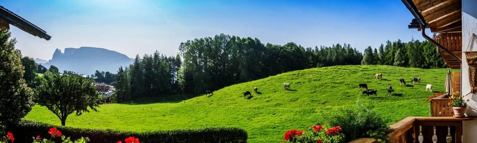 Appartments Neuhof Farm Stay in Trentino-South Tyrol