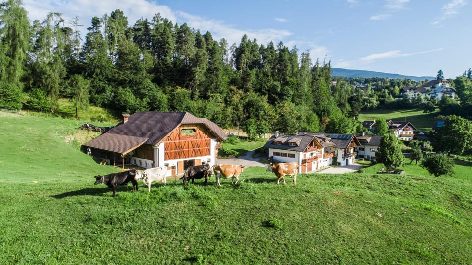 Appartments Neuhof Farm Stay in Trentino-South Tyrol