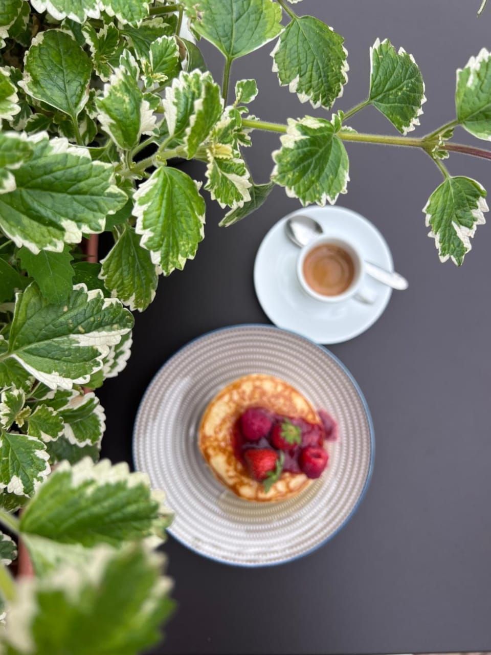 Agriturismo Alveare Farm Stay in Liguria