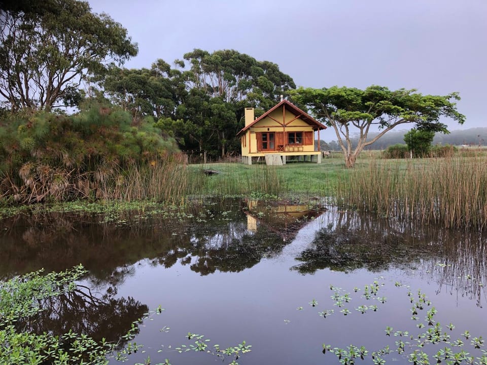 La Ranita Negra House in La Paloma