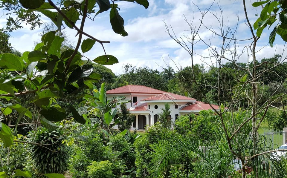 Property building, Day, Natural landscape, Garden, Garden view