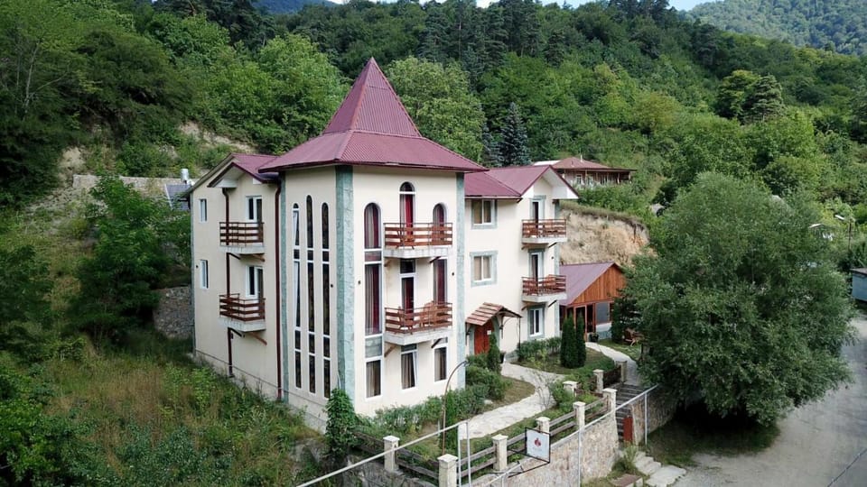 Neighbourhood, Bird's eye view