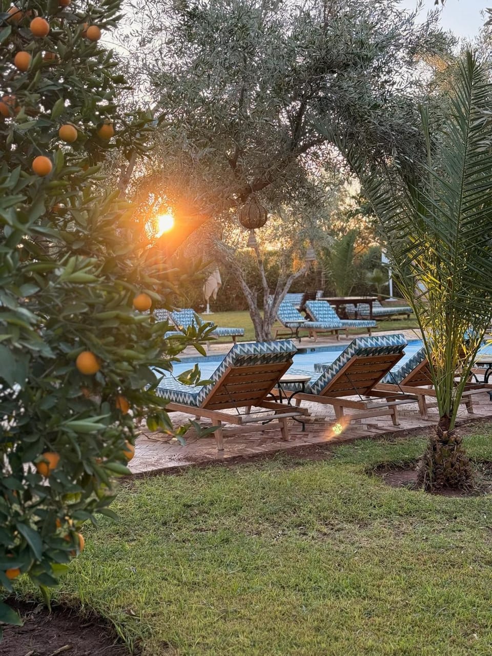 Garden, Swimming pool, Sunrise, sunbed