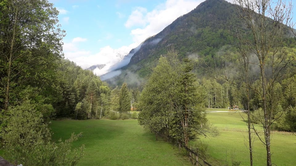 Natural landscape