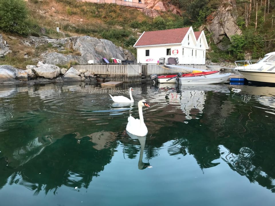Havbris Nature lodge in Rogaland