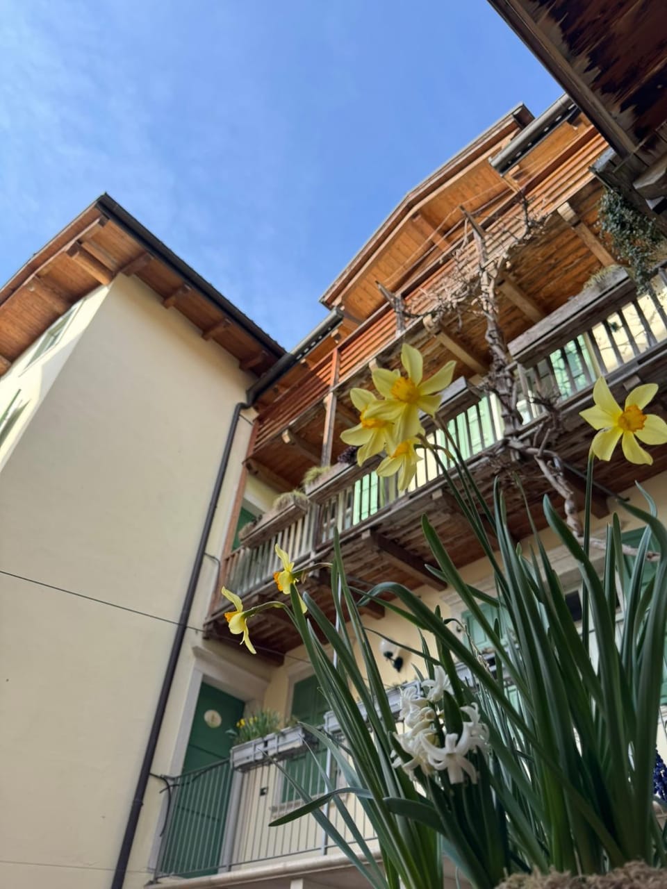 Property building, Spring