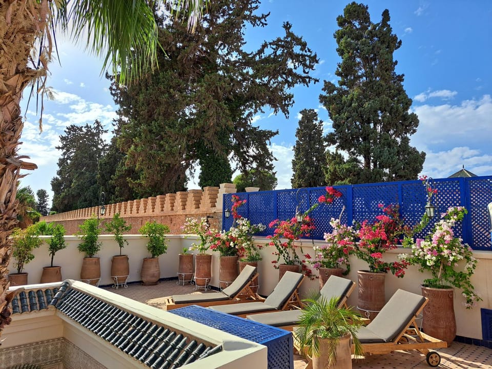 Patio, Day, sunbed