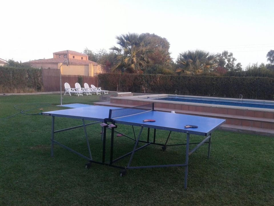 Activities, Table tennis