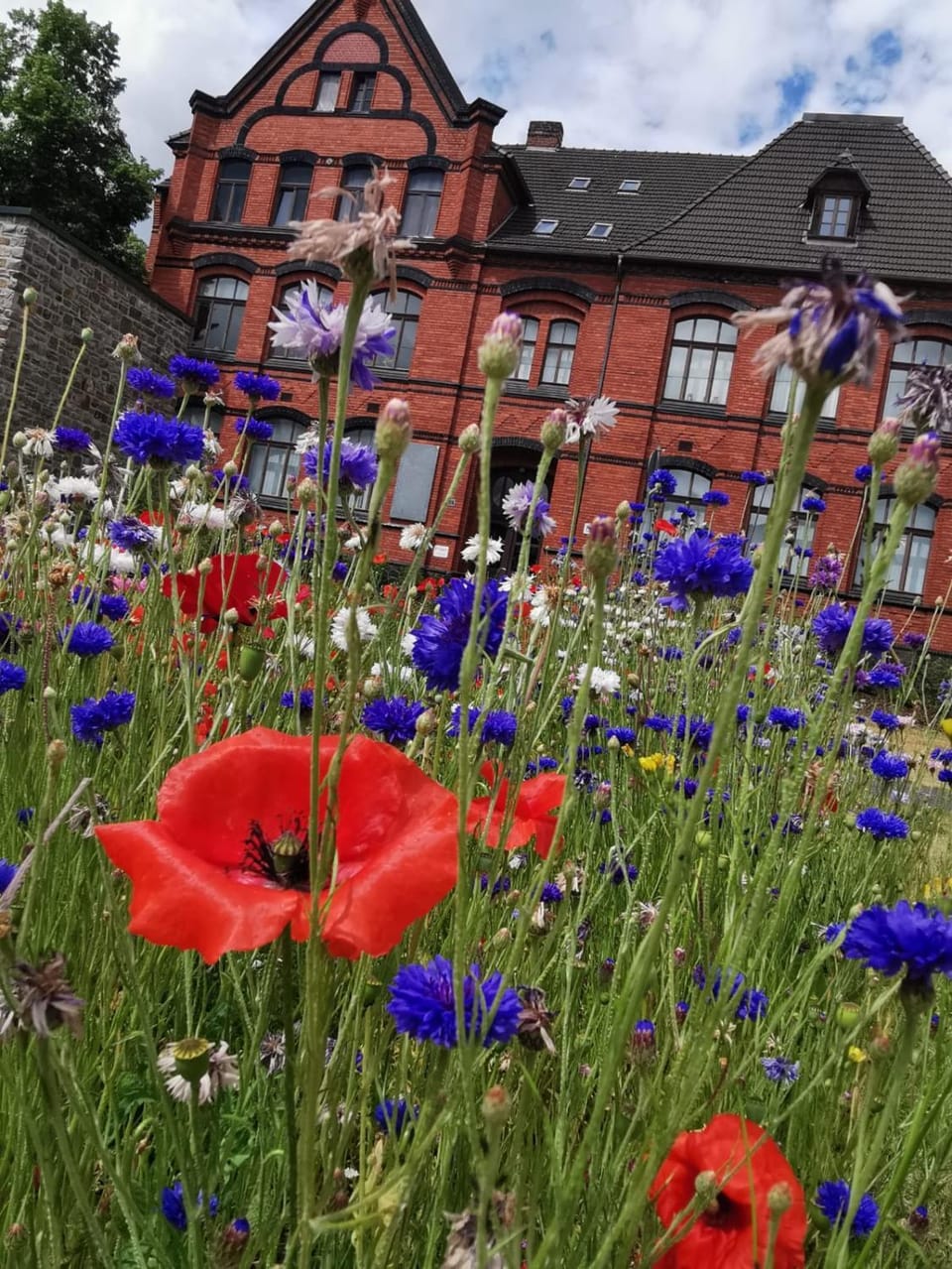 Property building, Children play ground, Garden