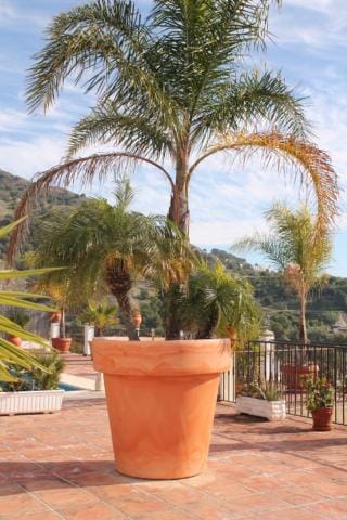 Villa El Nido Villa in Nerja