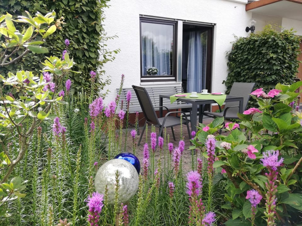 Garden, Balcony/Terrace