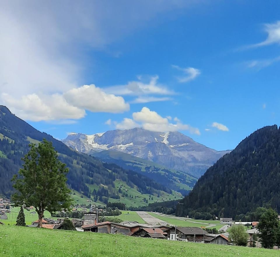 Summer, Mountain view