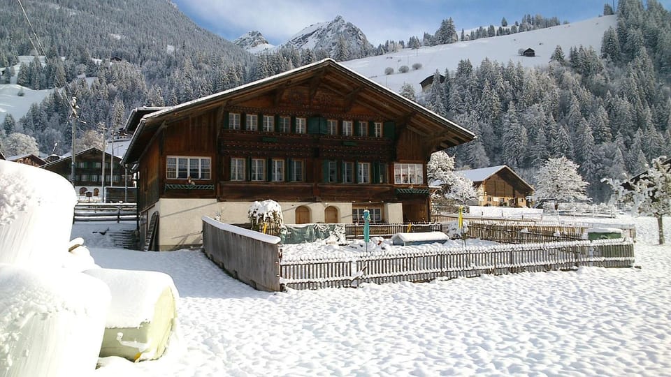 Property building, Winter