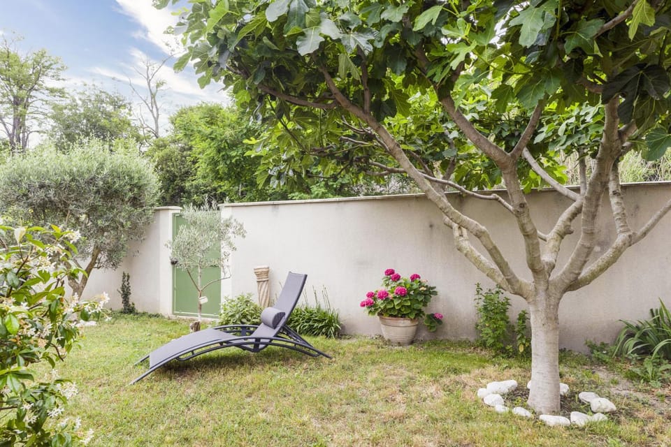 Patio, Garden, Garden view