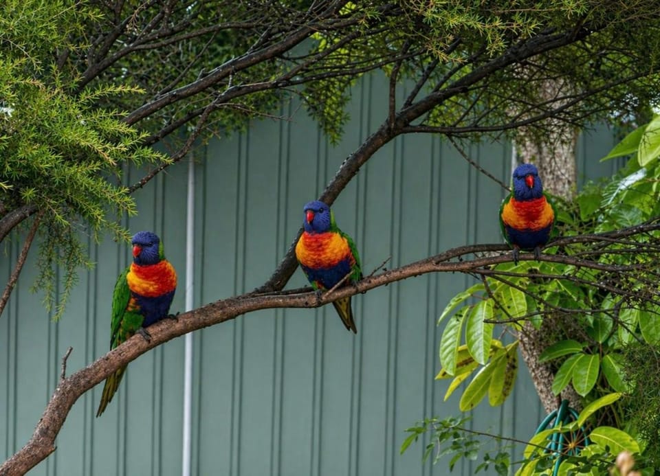 Batemans Bay Holiday Park & Hostel Campground/ 
RV Resort in Batemans Bay