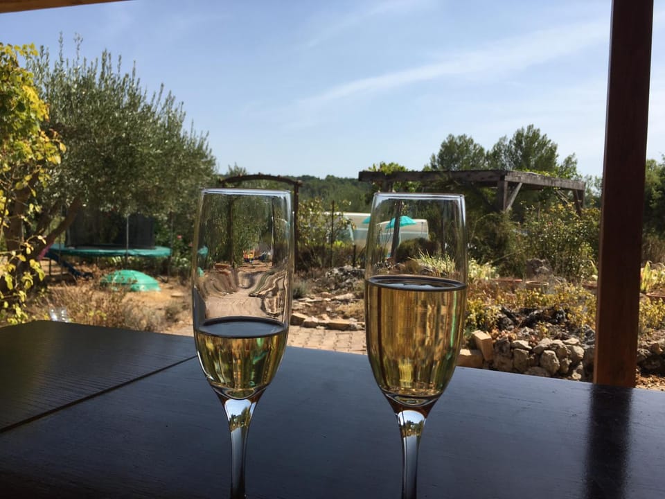 Garden, Pool view, Drinks