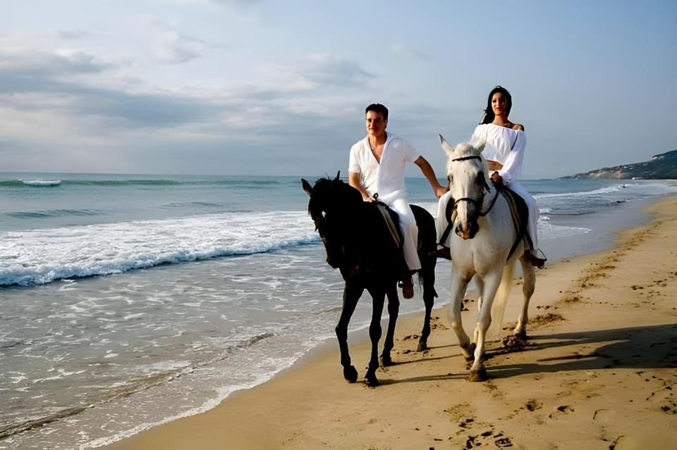 Day, People, Horse-riding, Beach, Animals, Sea view, Time of day