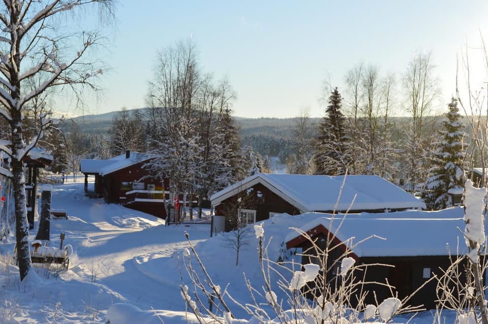 Neighbourhood, Winter