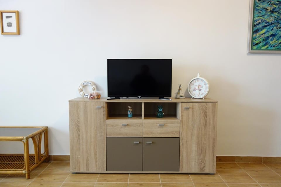 TV and multimedia