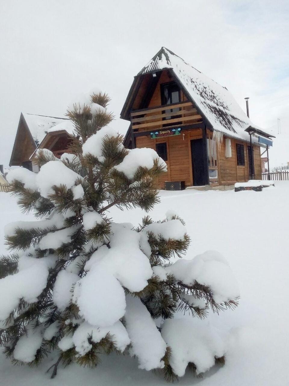 Brvnara Zlatiborka Apartment in Zlatibor