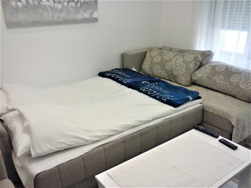 Apartman Veljic Apartment in Serbia