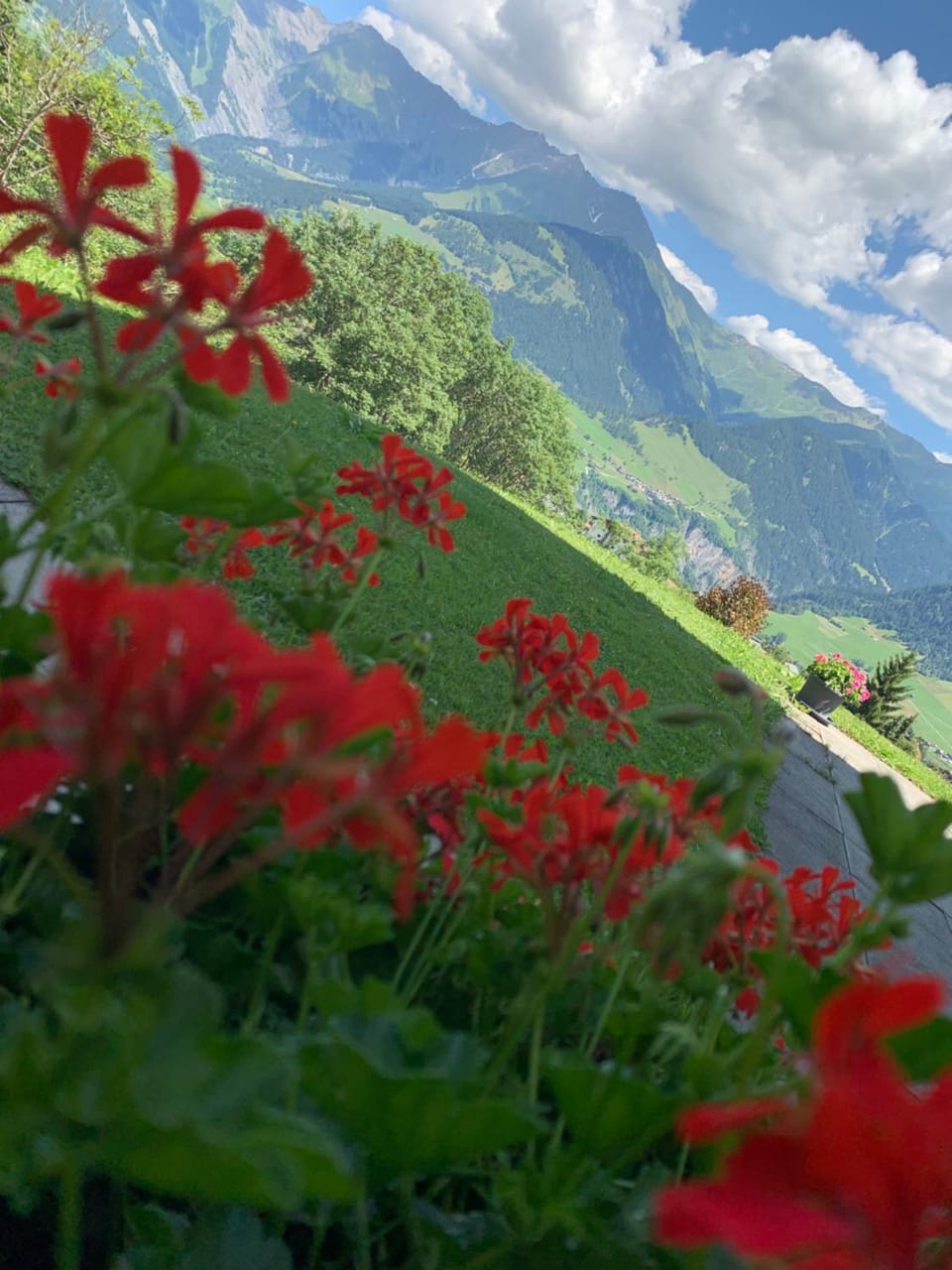 Spring, Day, Natural landscape, Mountain view