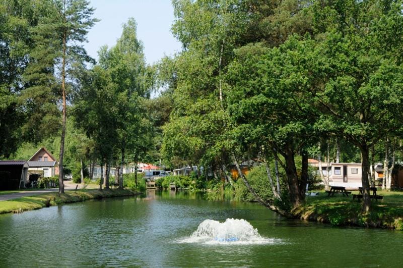 Spring, Day, People, Activities, Summer, Fishing, Fishing, Animals, On site, Guests, Lake view, Street view, Sports, Entertainment, Entertainment, children, young children, older children, group of guests, Family