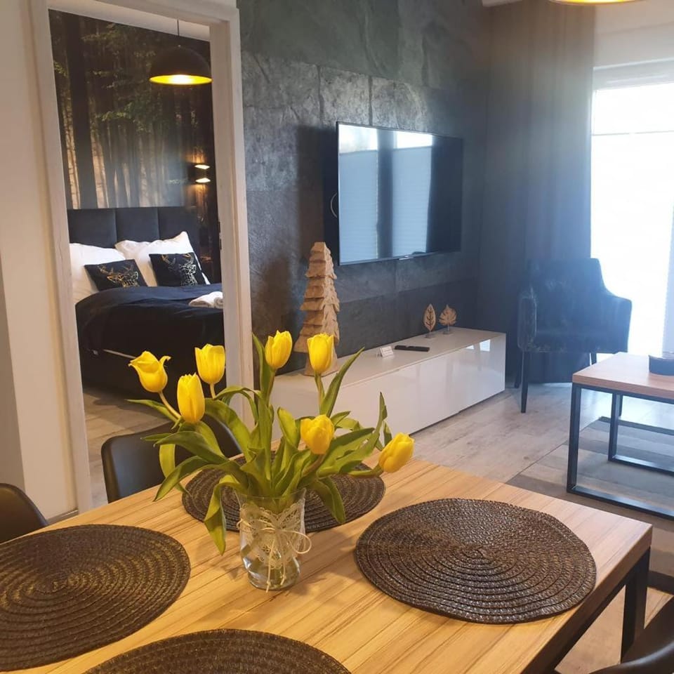 Apartament Izerska Przygoda - 5D Apartamenty Apartment in Lower Silesian Voivodeship