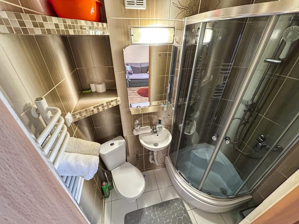 Shower, Toilet, Bathroom, Bath, towels