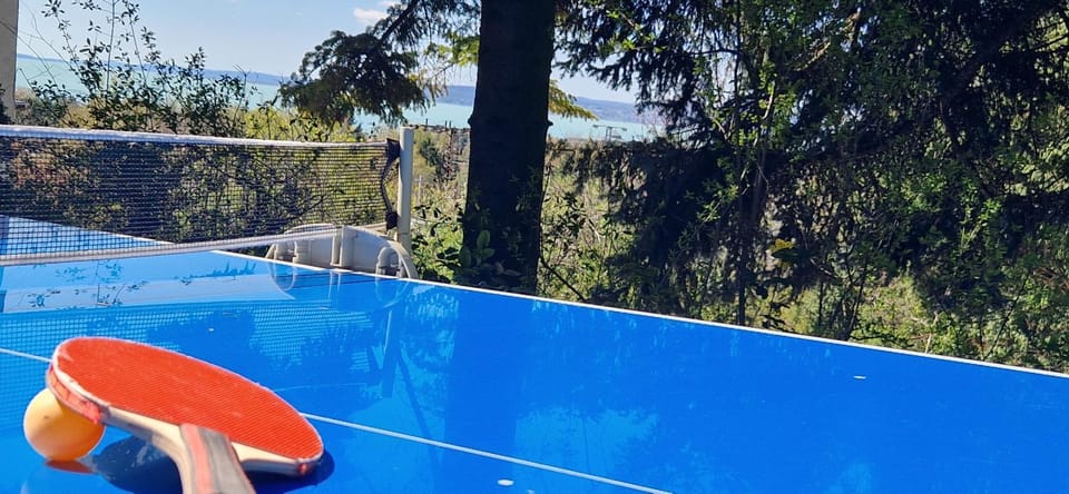 Table tennis, Lake view