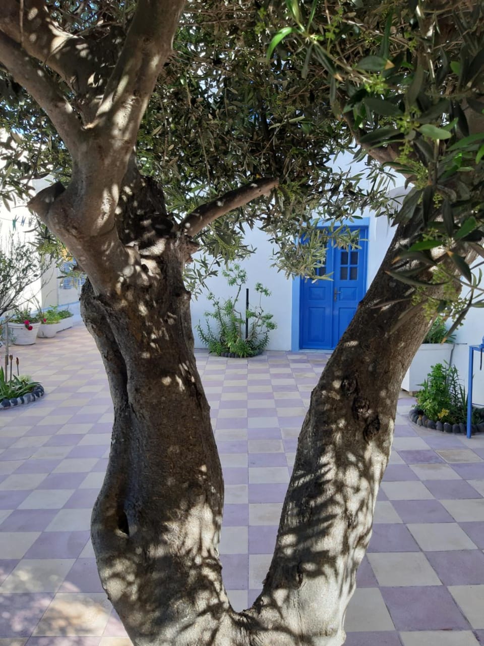 Decorative detail