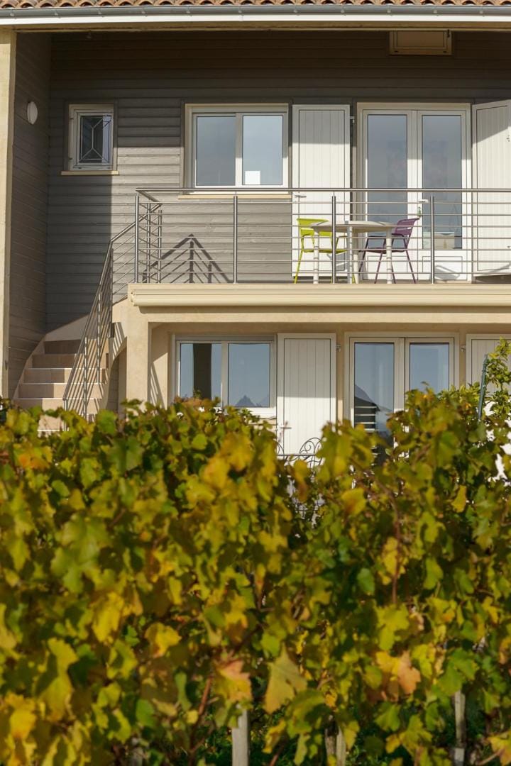 Les Raisins du Bonheur Bed and Breakfast in Occitanie