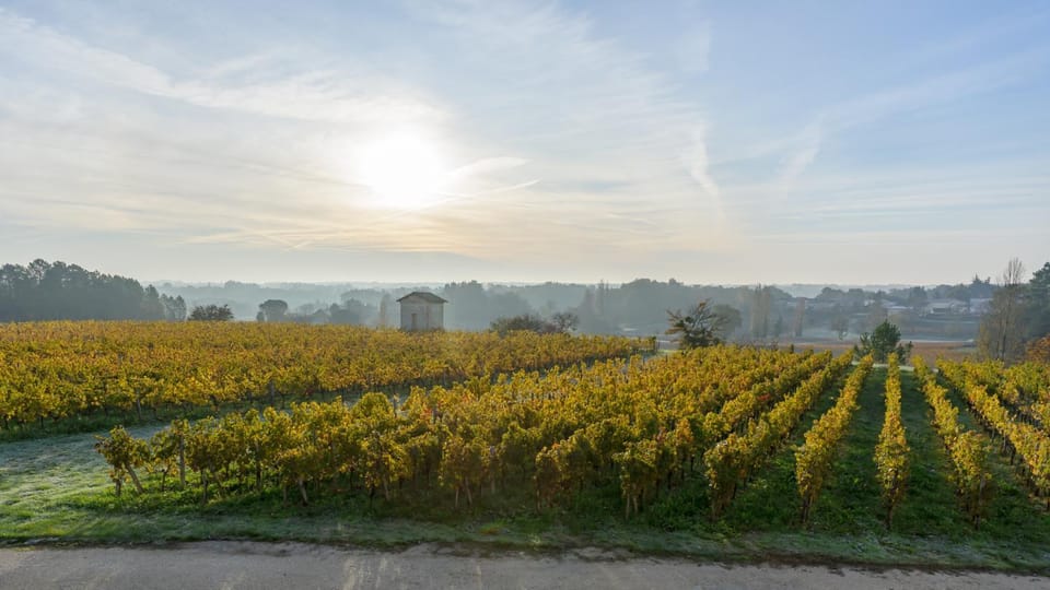 Les Raisins du Bonheur Bed and Breakfast in Occitanie
