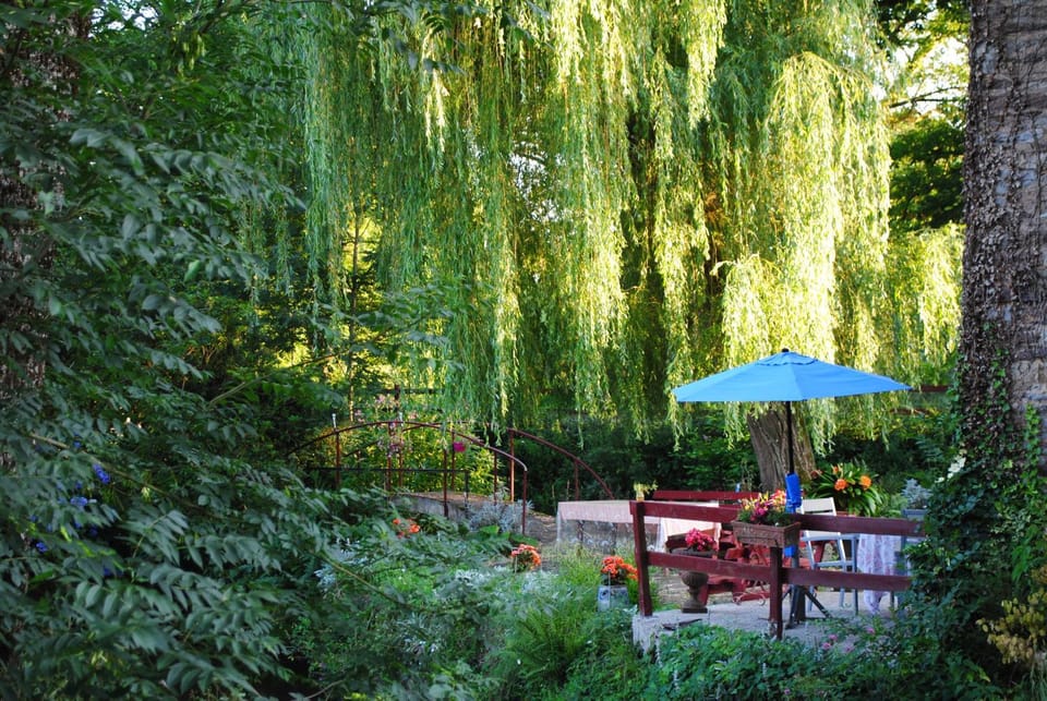 Garden view