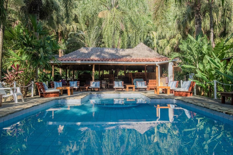 Swimming pool, Swimming pool