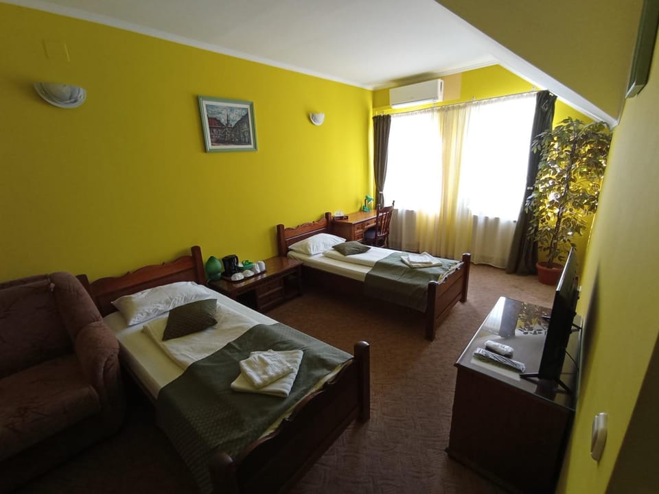 Pensiunea Cristina Bed and Breakfast in Romania