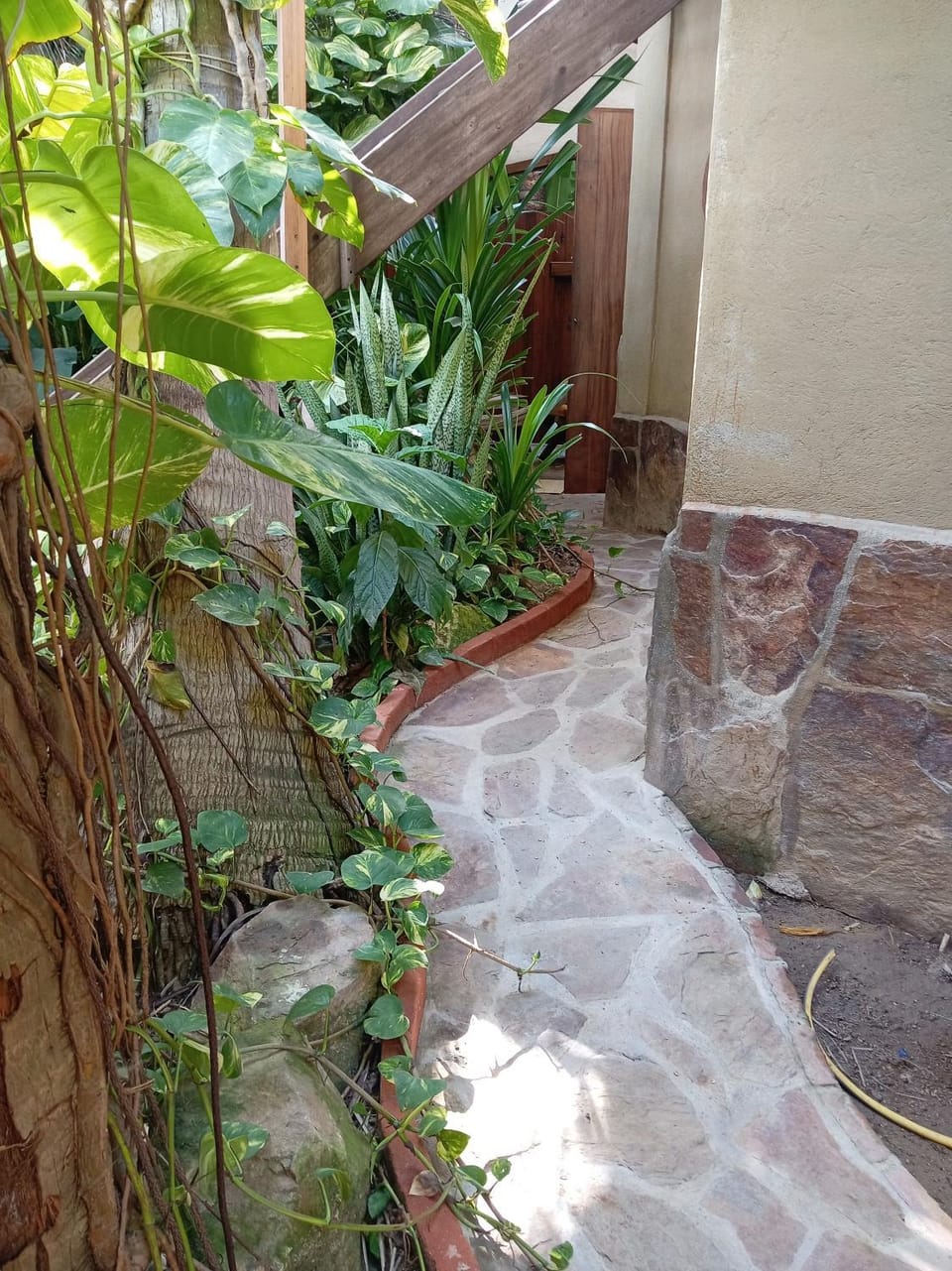 Garden view