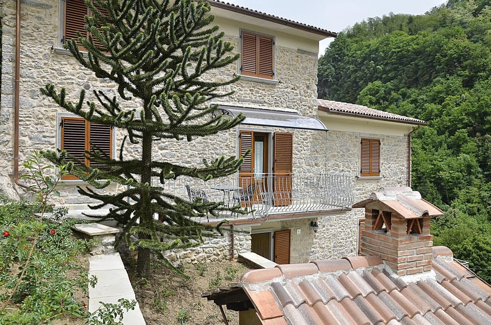 Property building, Day, Natural landscape, Garden, View (from property/room), Garden view