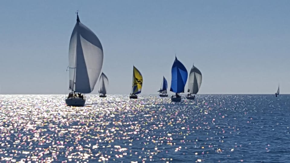 Location Chambre d'hôtes Grau du Roi Mas des Marines Piscine Adult only Bed and Breakfast in Le Grau-du-Roi
