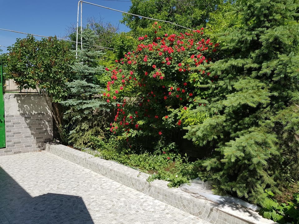 Off site, Garden
