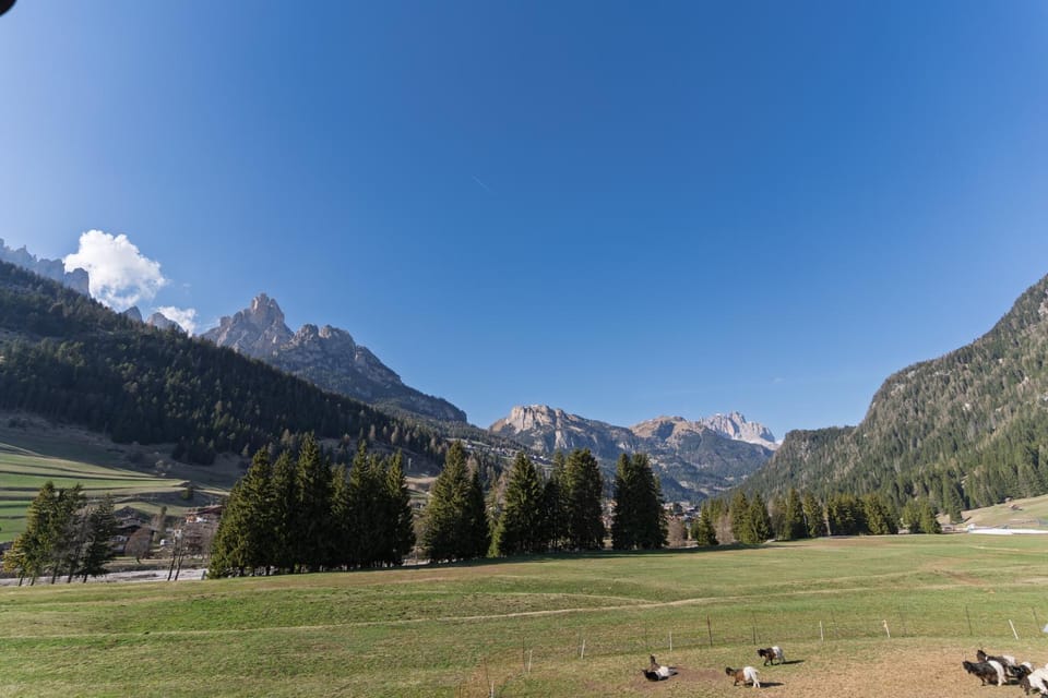 Appartamenti Pollam by AMA Val di Fassa Apartment in Pozza di Fassa