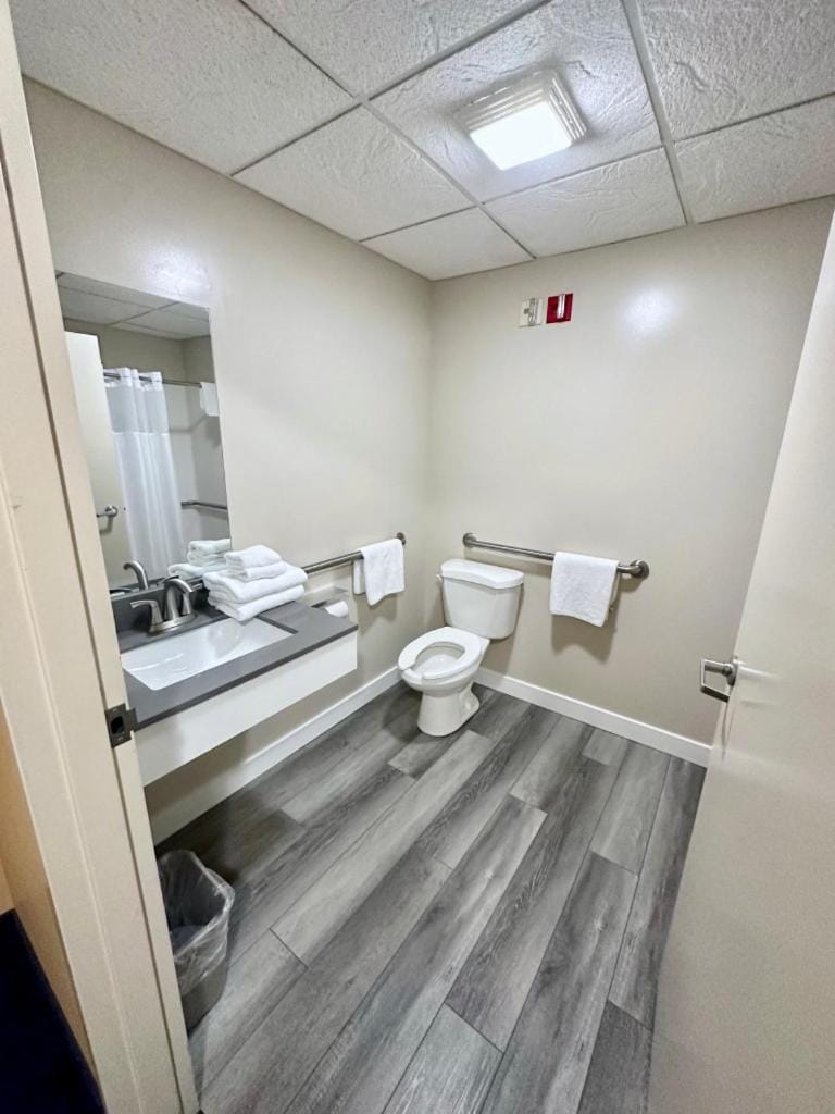 Toilet, Bathroom, Facility for disabled guests