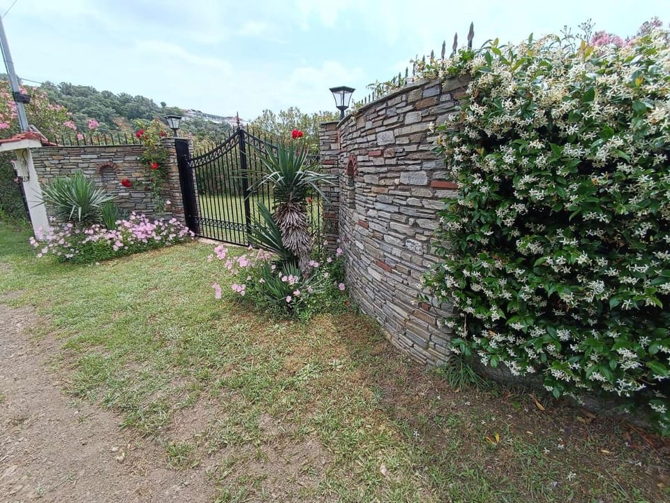 Property building, Garden, Garden view