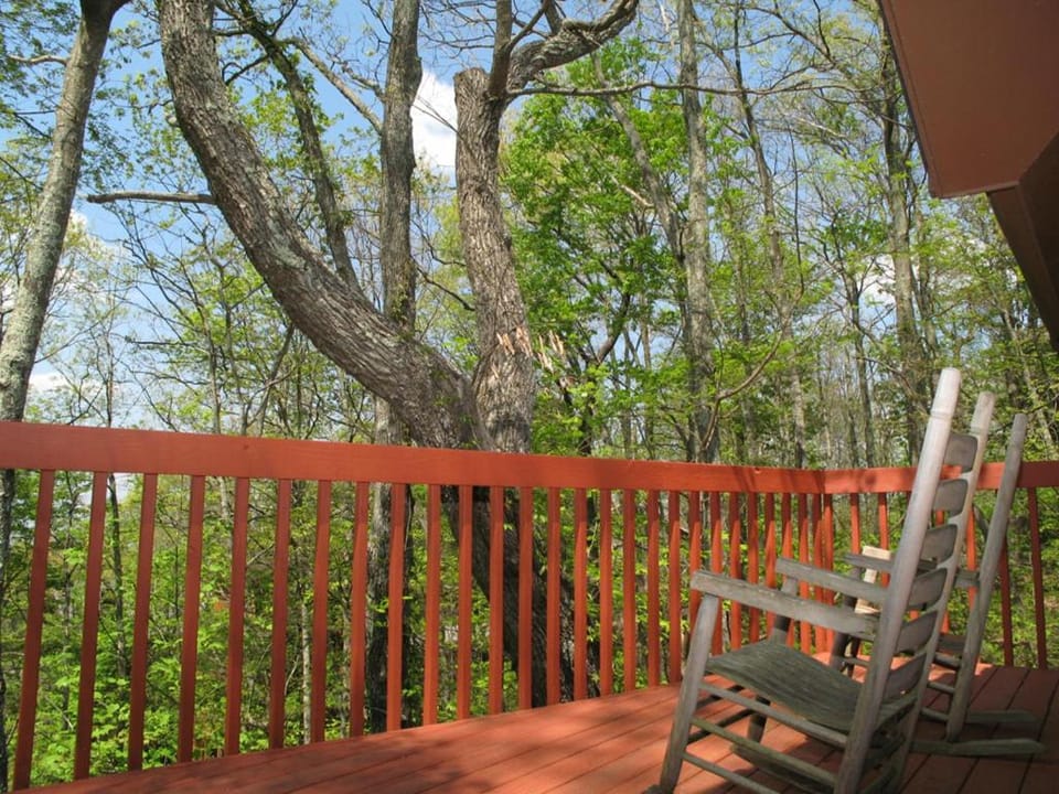 Natural landscape, Balcony/Terrace, Seating area