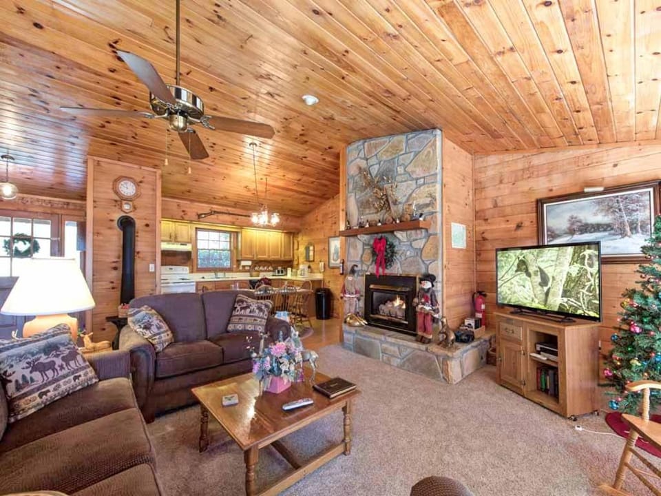 TV and multimedia, Kitchen or kitchenette, Living room, Seating area, fireplace, furniture