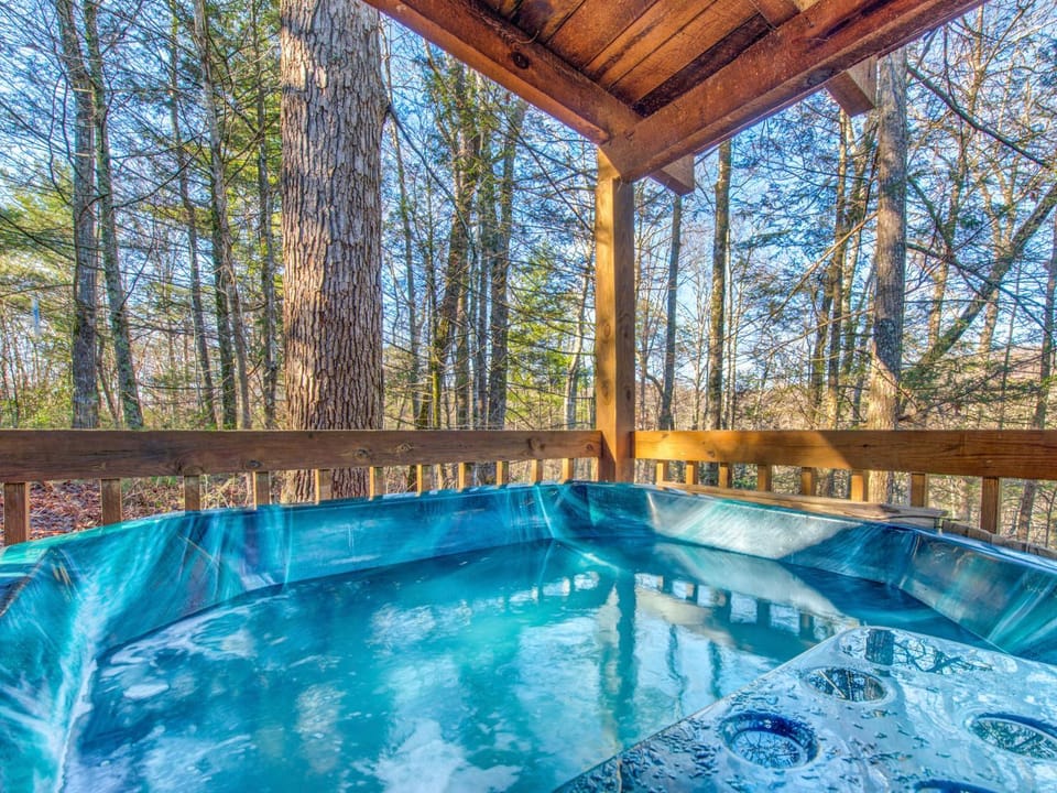 Bear Cave Haus House in Gatlinburg