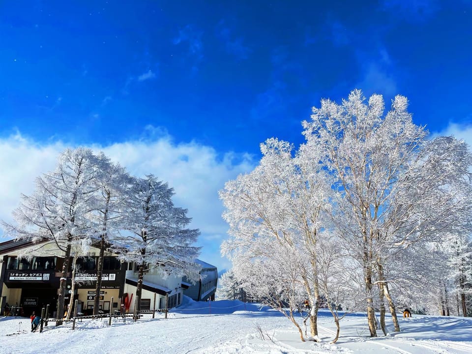 Day, Natural landscape, Winter, Ski School, Ski School, Skiing, Skiing