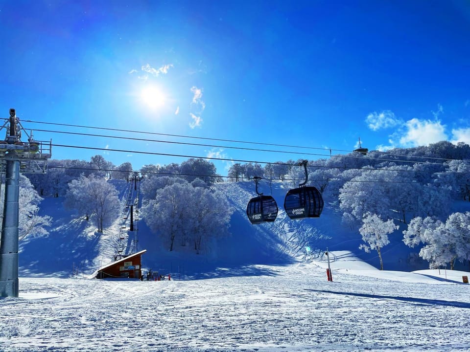 Day, Winter, Ski School, Ski School, Skiing, Skiing, group of guests